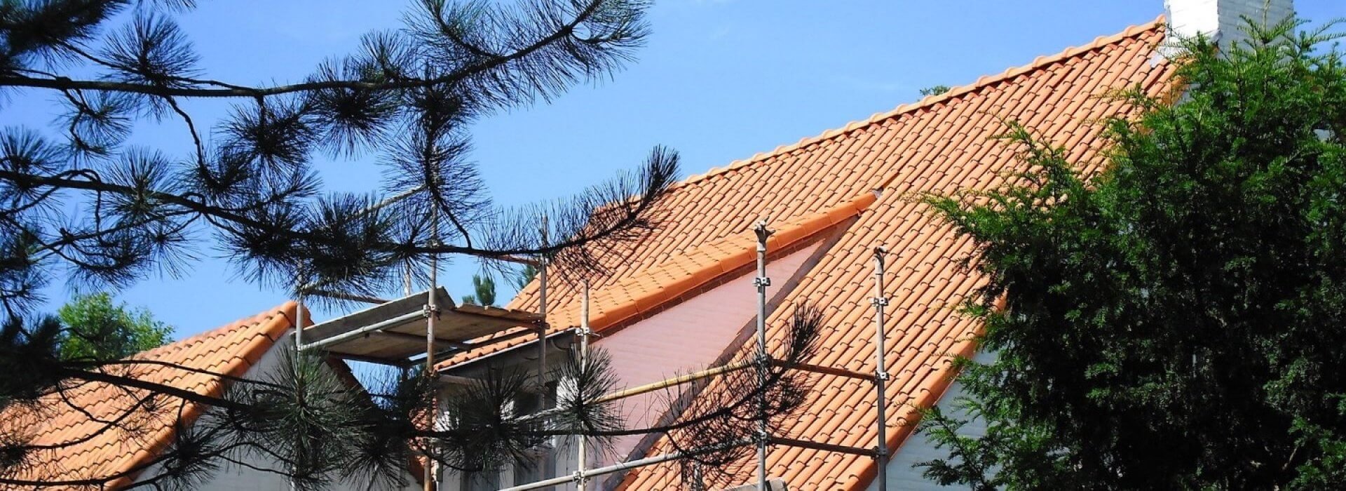 santpoort-dakdekkers.jpg